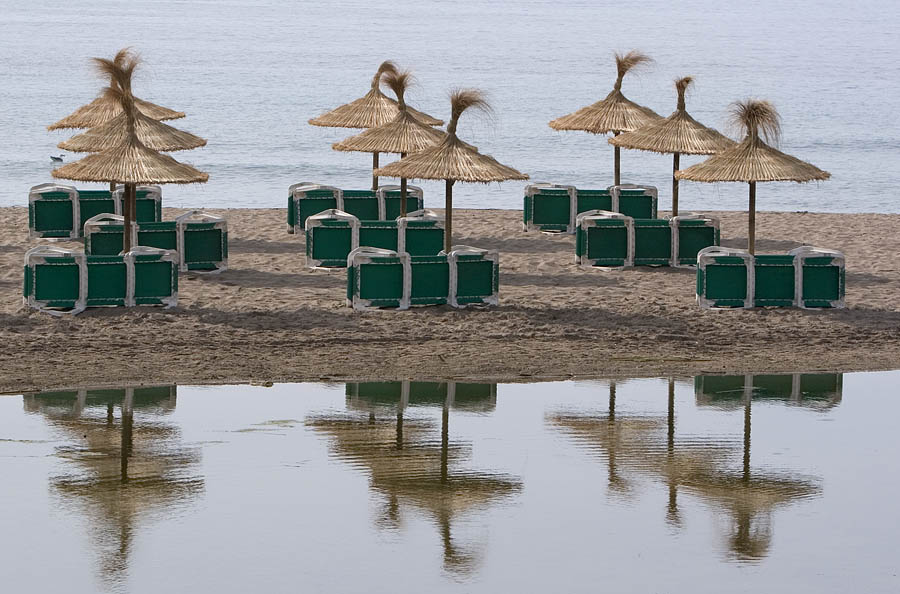 Möwe vor Beginn des nächsten Saisontages