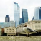 Möwe vor der Skyline von London