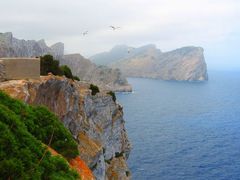 Möwen am Cap Formentor / Mallorca