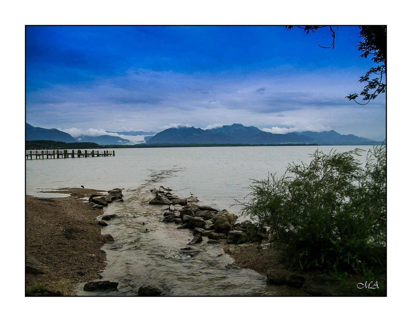 Möwen am Chiemsee