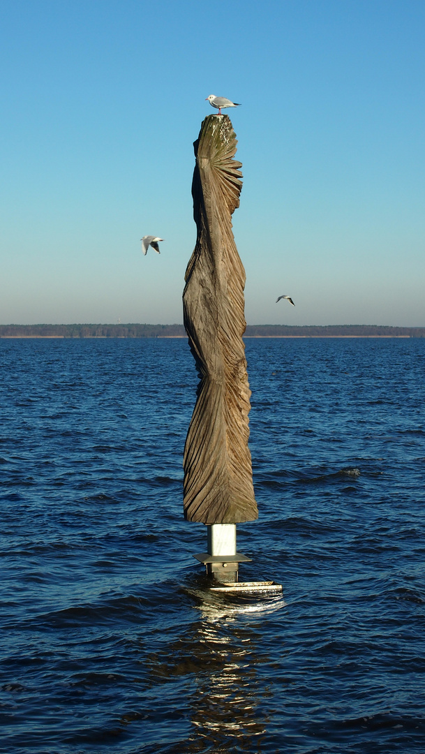 Möwen am Meer