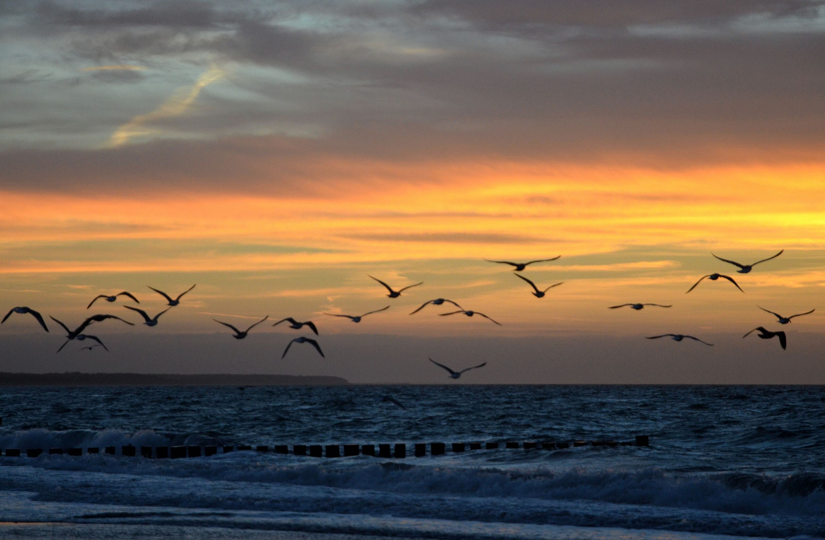 Möwen am Ostsee Himmel