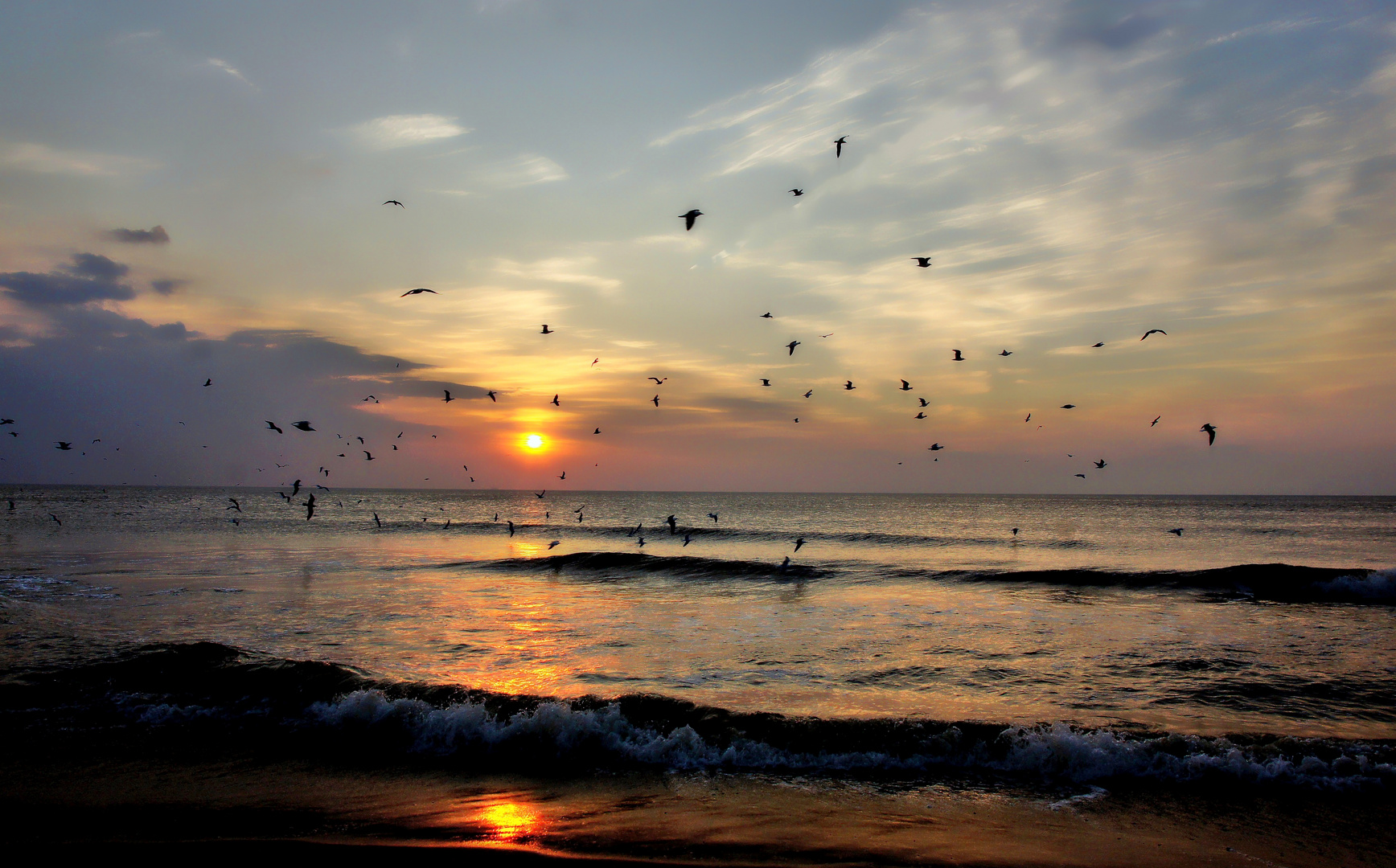 Möwen bei Sonnenuntergang