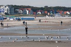 Möwen, Menschen, Strandkörbe ...