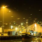 Möwen Nachts im Hafen