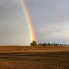 Möwen unterm Regenbogen