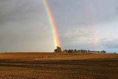 Möwen unterm Regenbogen