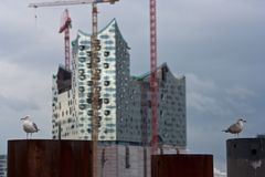 Möwen vor Elbphilharmonie