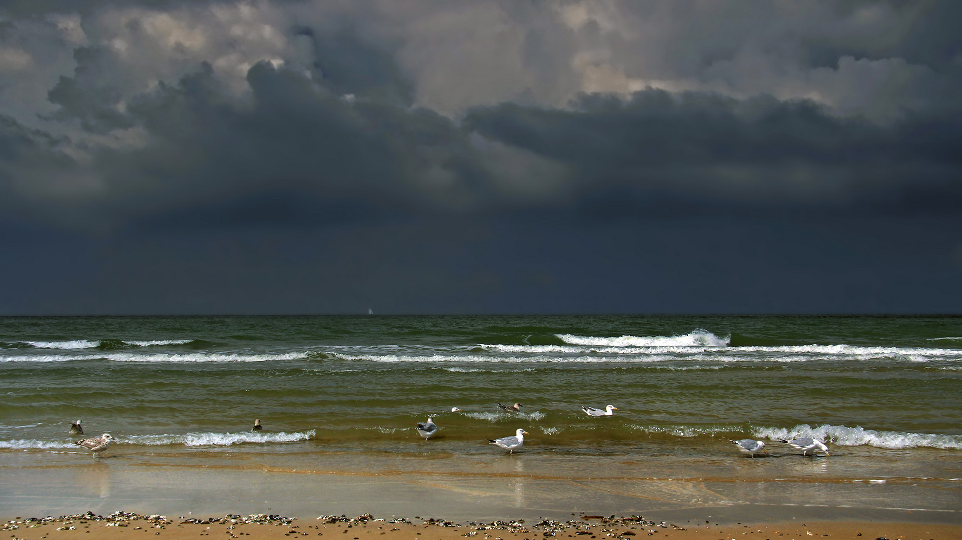 Möwen, Wellen, Wolken