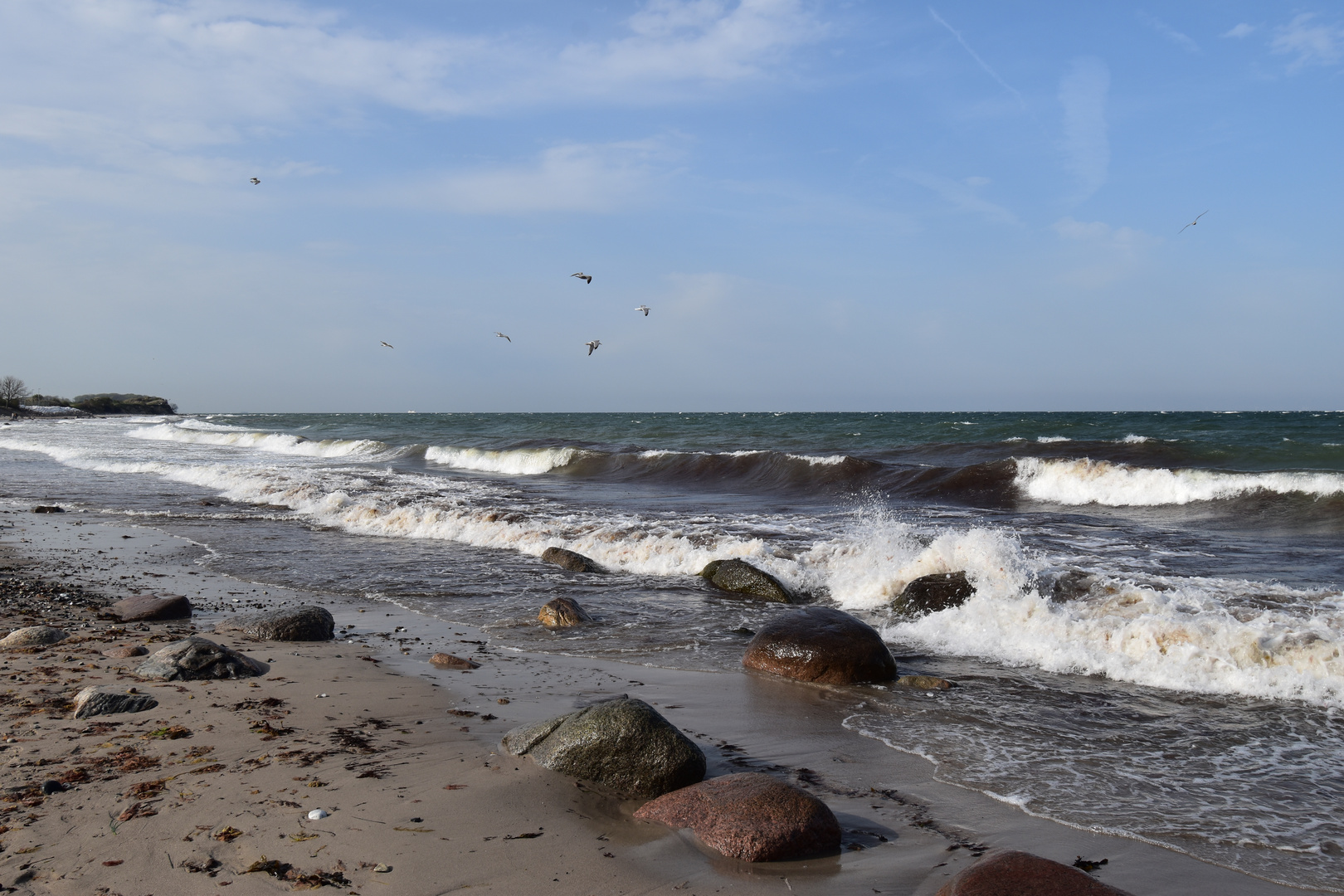 Möwenflugwetter - Fehmarn