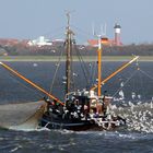 Möwengewusel hinter nem Krabbenkutter vor Wangerooge