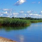  Möwenort Gnitz