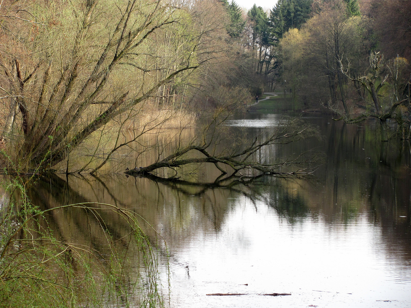 Möwensee