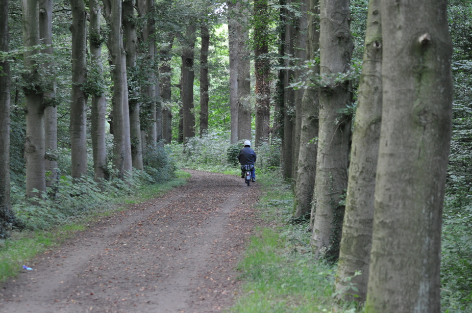 Mofka im Wald