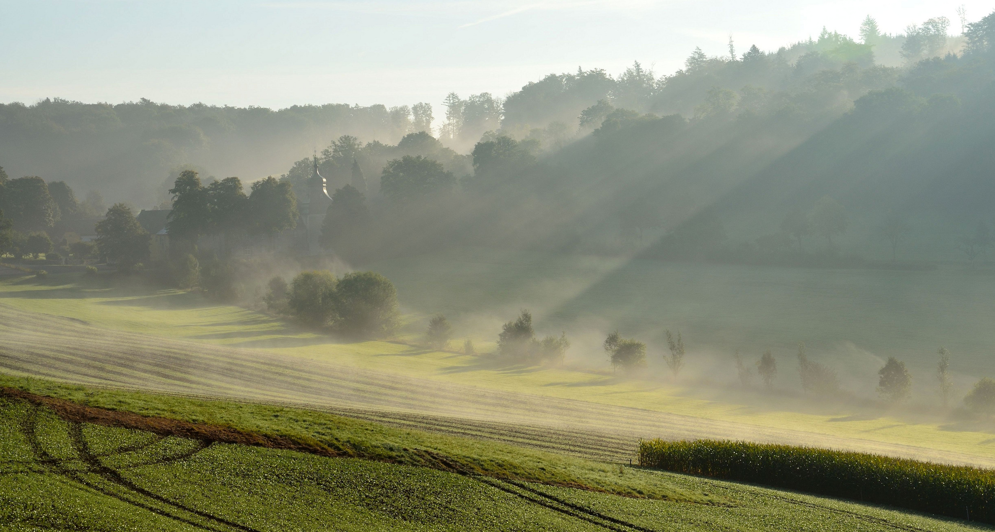 Mogennebel