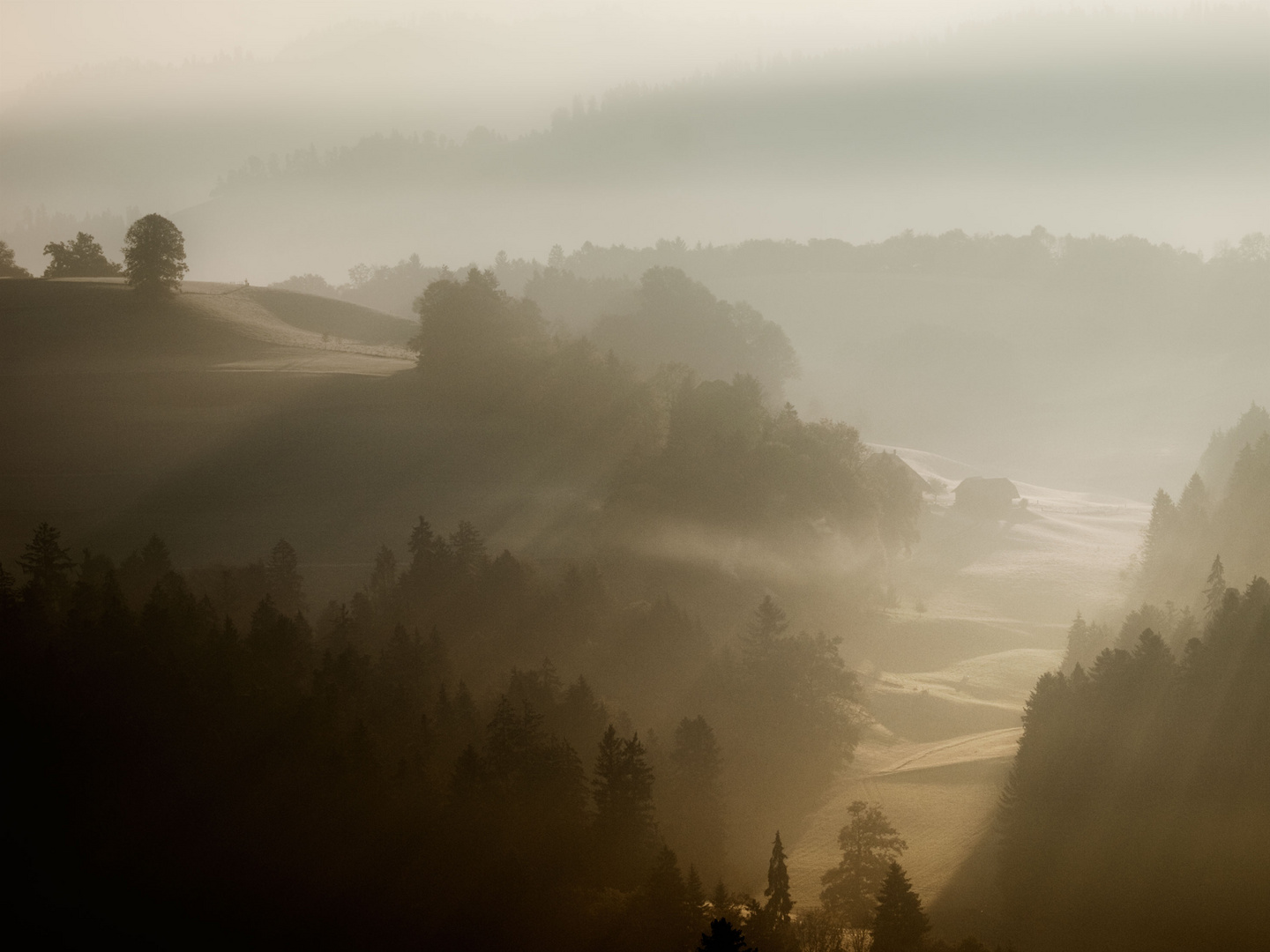 Mogennebel im Emmental