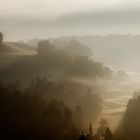 Mogennebel im Emmental