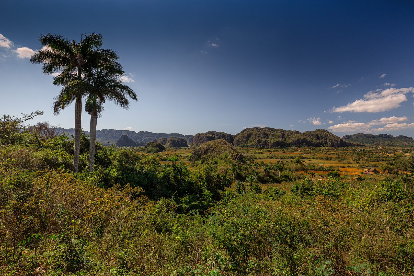 Mogotes de Viñales