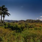 Mogotes de Viñales