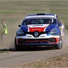 Mohe bei einer WRC-Rallye