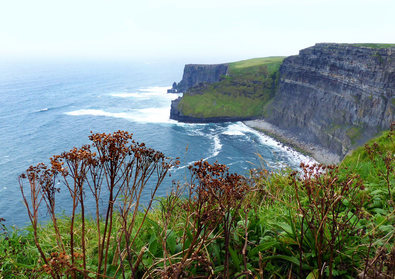 Moher