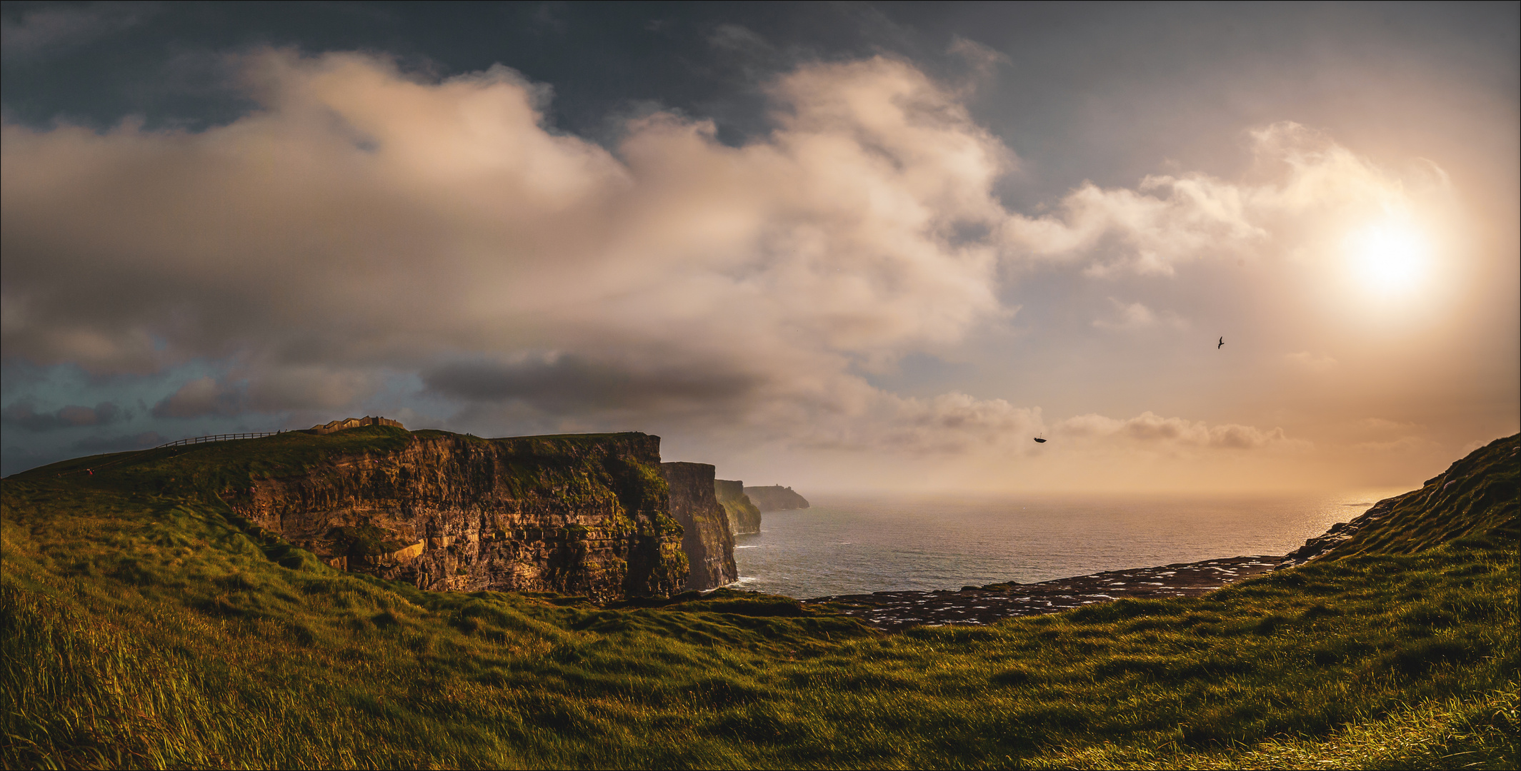 * Moher mit Schirm und Möwe *