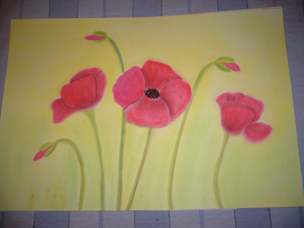 Mohn