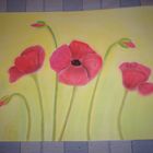 Mohn