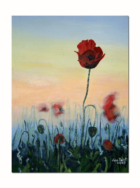 Mohn