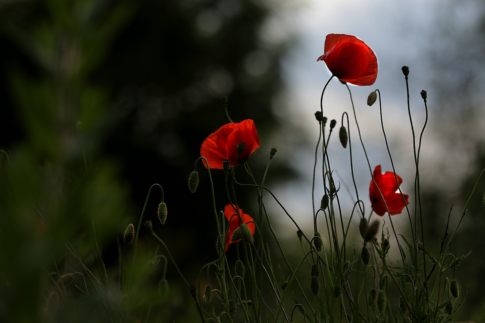 .....mOhN....