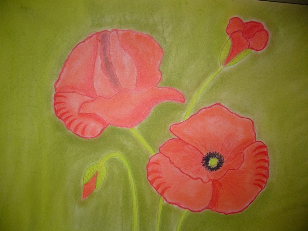 Mohn 2