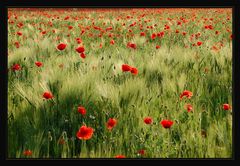 MOHN **2