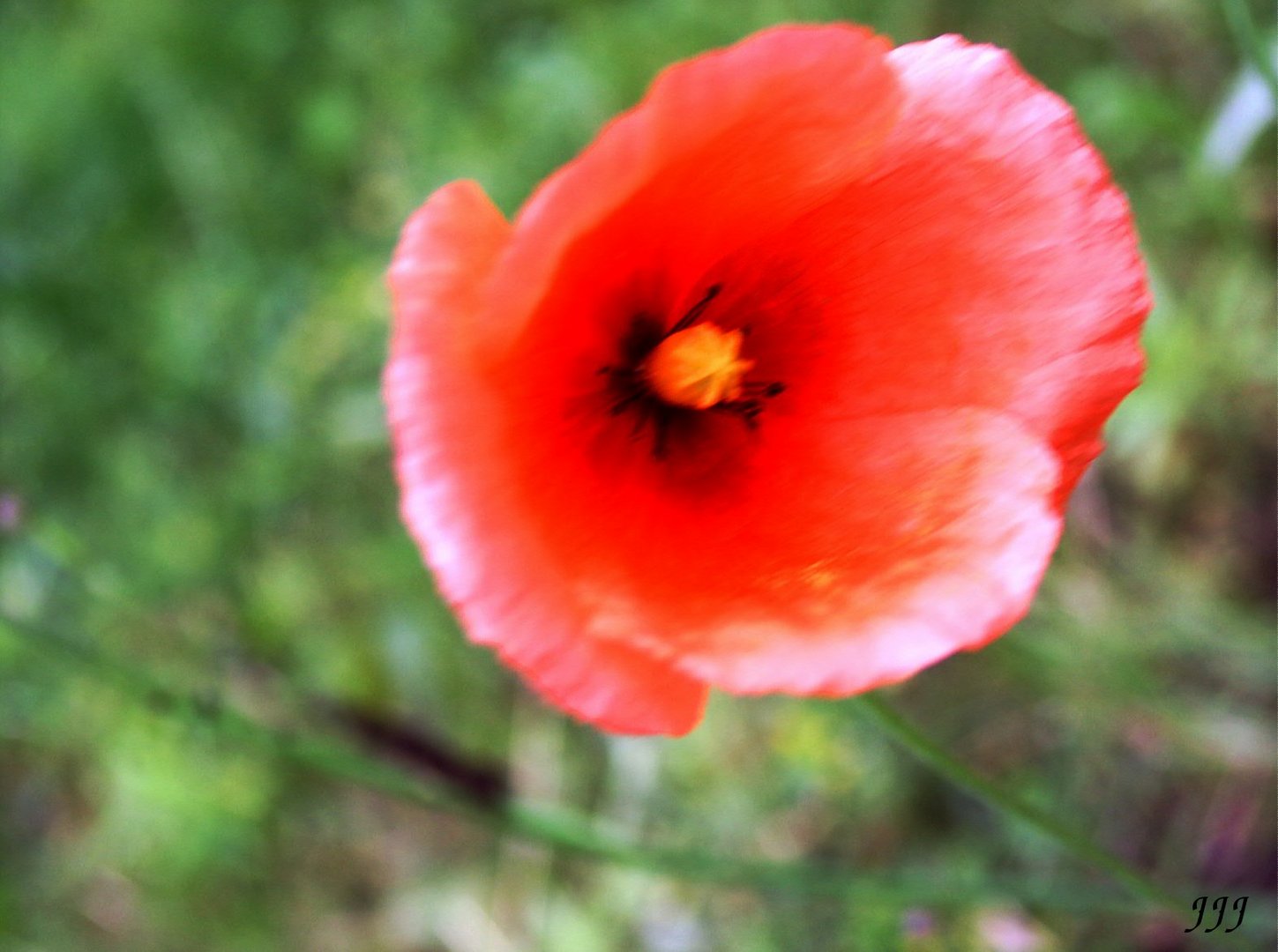 MOHN