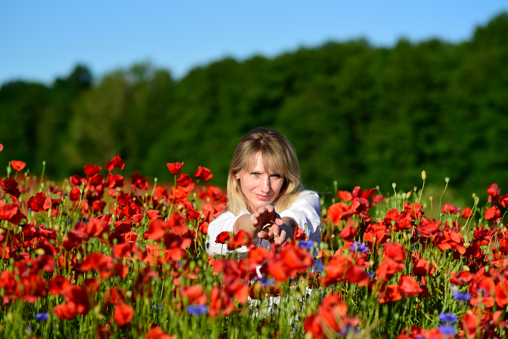 Mohn