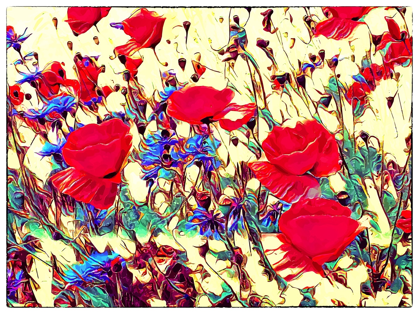 MOHN