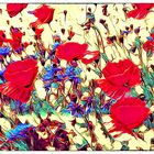 MOHN