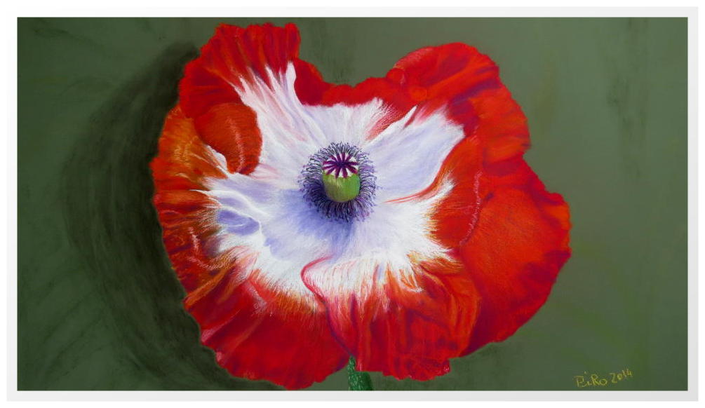 Mohn