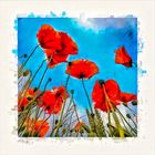 MOHN