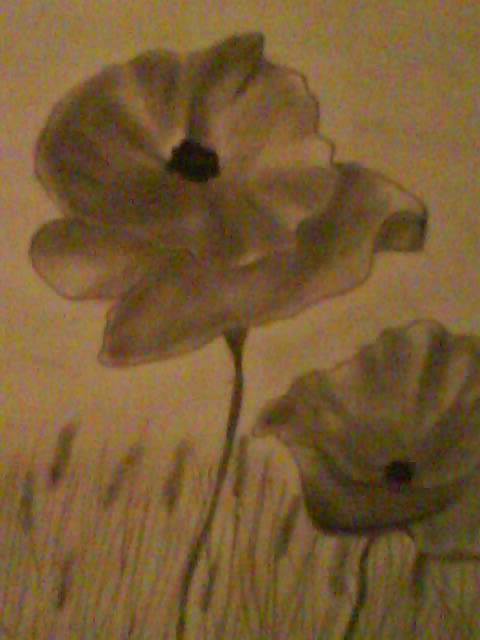 Mohn