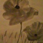 Mohn