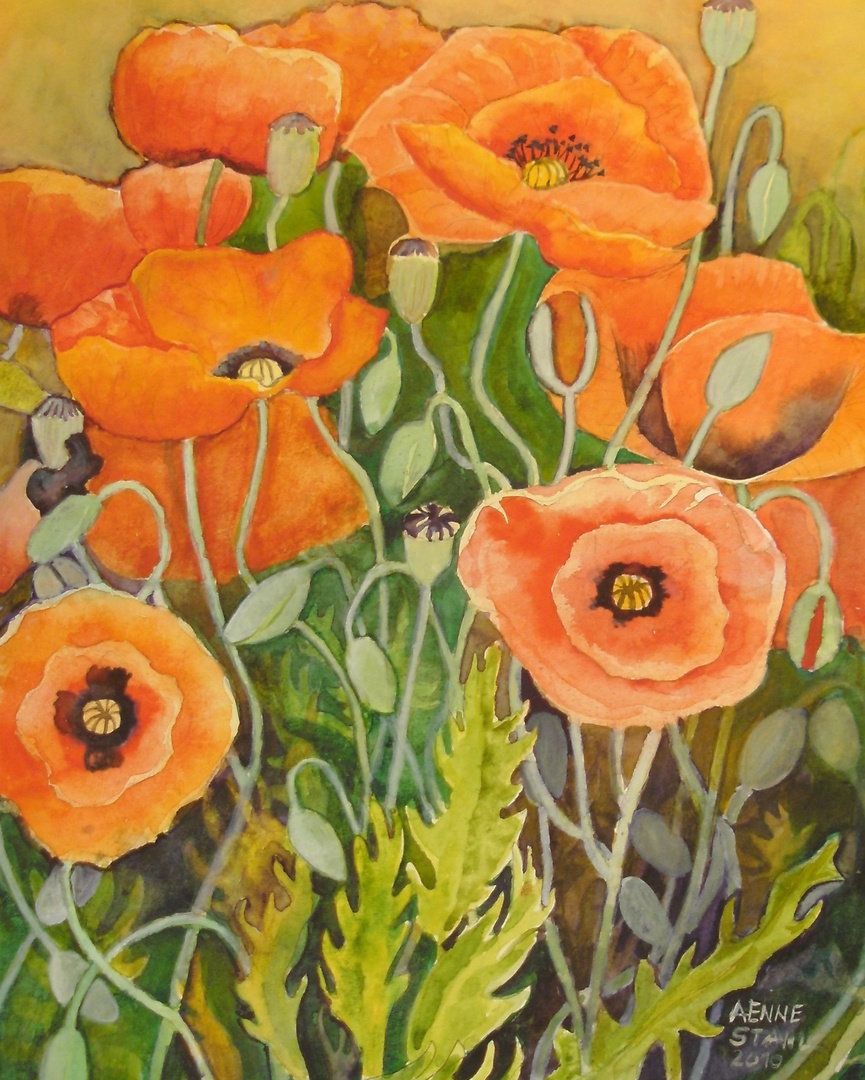 Mohn Aquarell