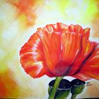 Mohn