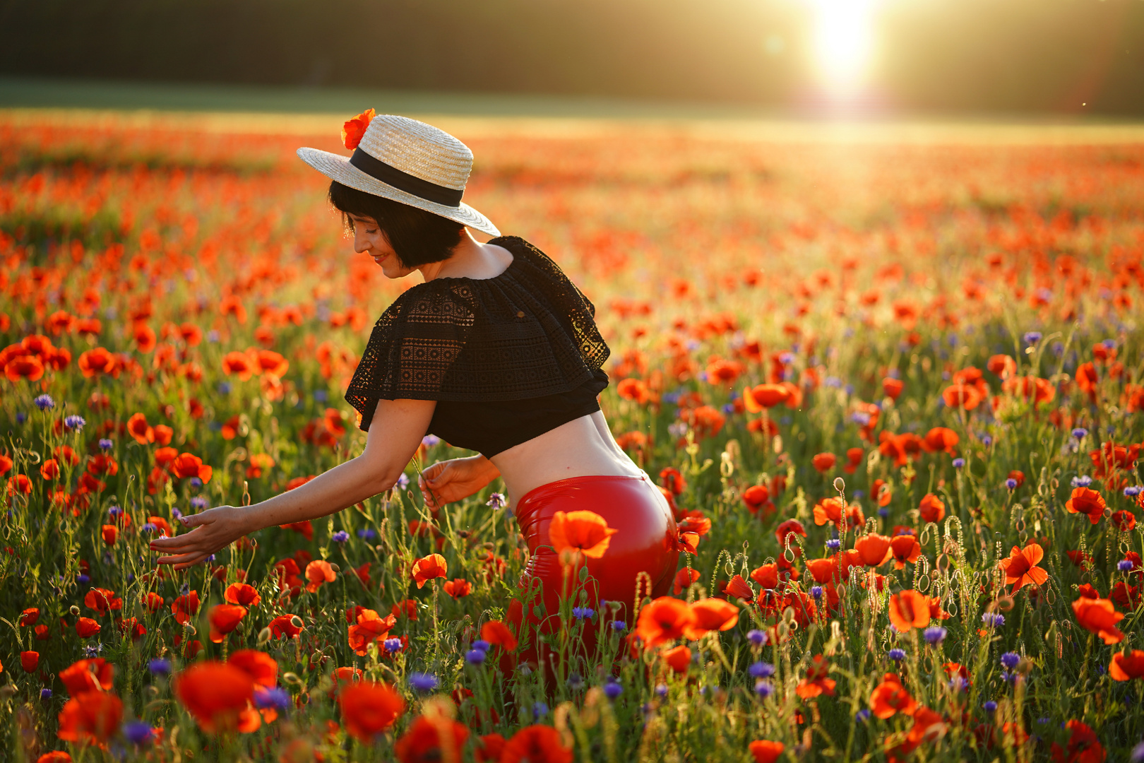 Mohn Blüte