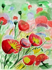 Mohn Blumen Wiese