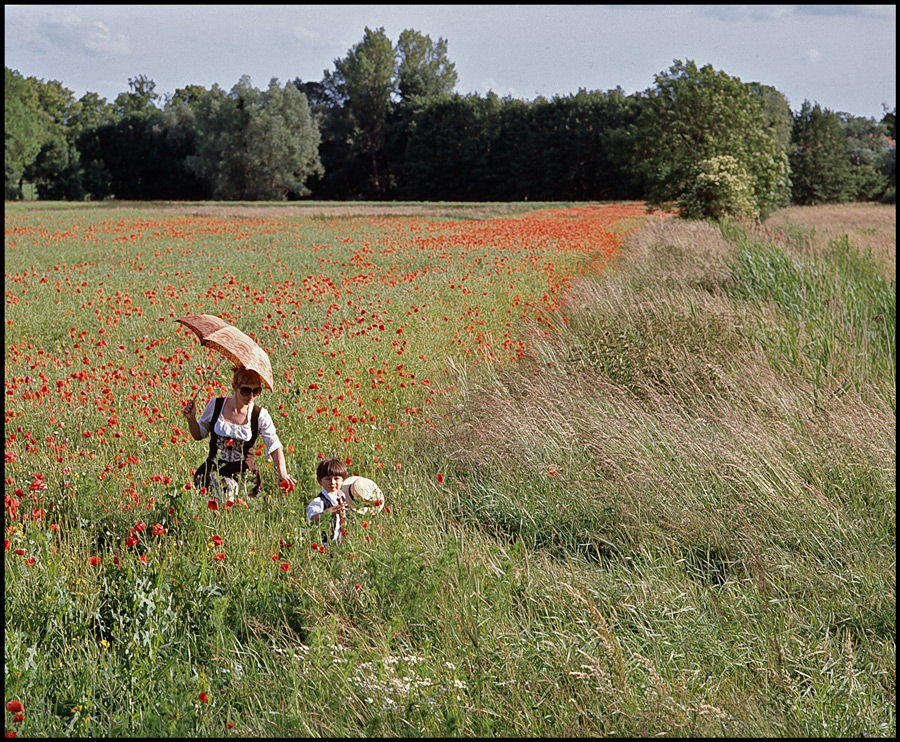 Mohn-et