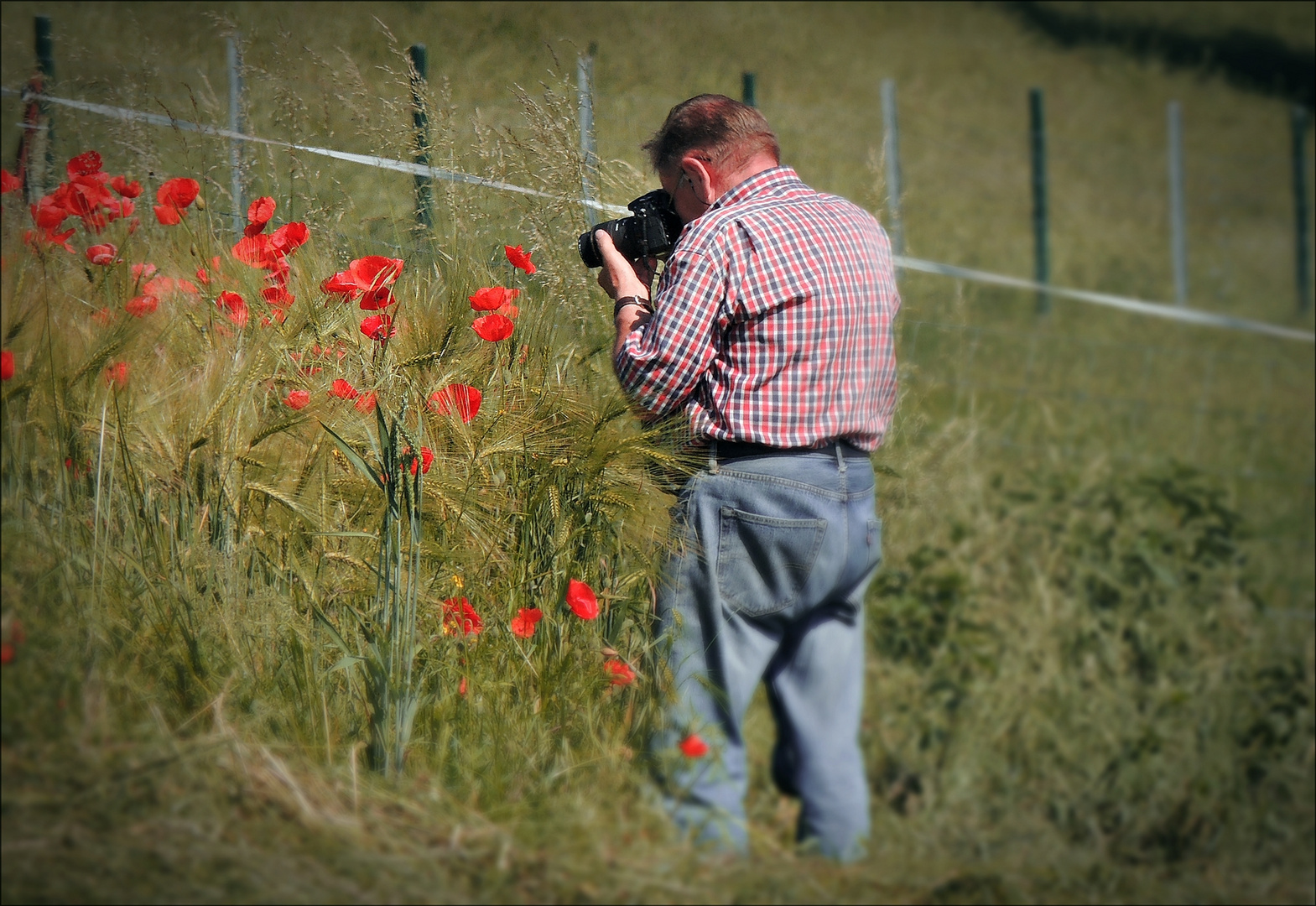 Mohn-Fotograf