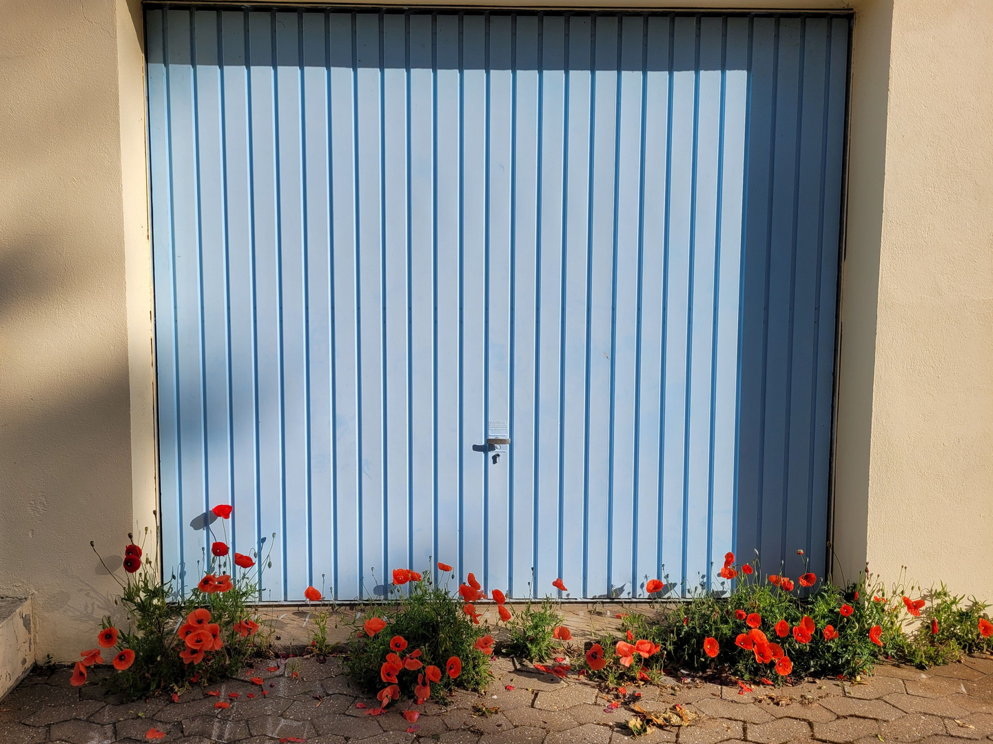 Mohn-Garage