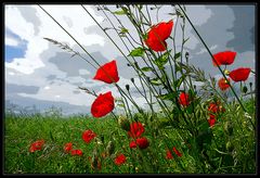 Mohn - Gemälde