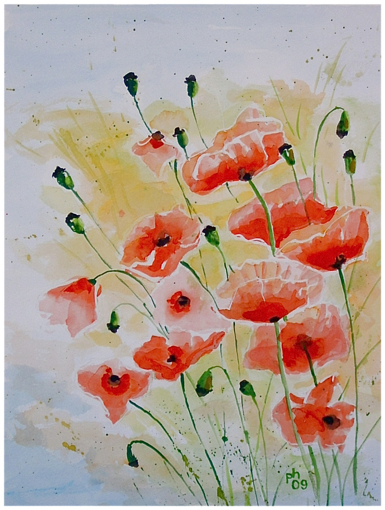 Mohn II