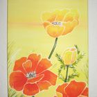 Mohn in Acryl